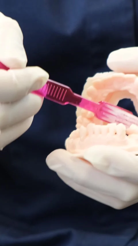 The hands of a dentist showing how to properly brush teeth on a mannequin of the Stock-Footage 250383786