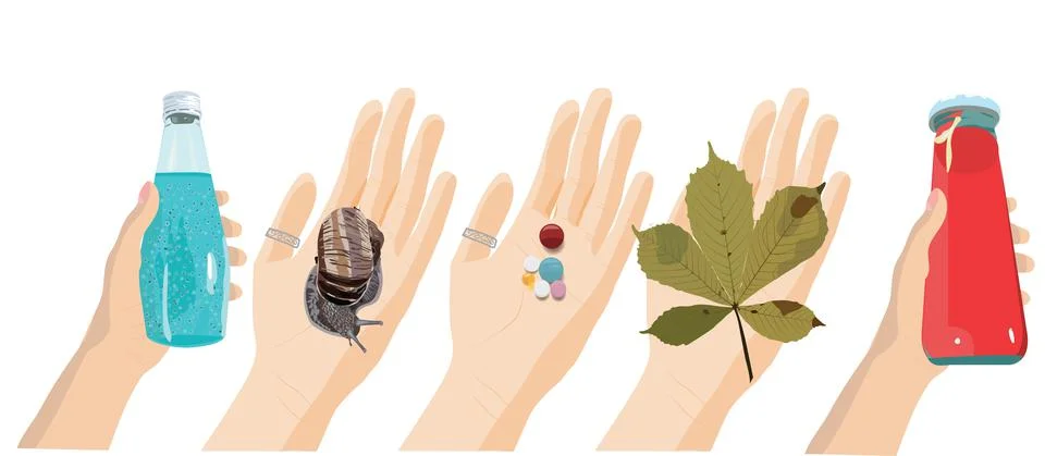 Hands with different objects: pills, a fallen leaf, a snail, a drink in a bot Stock Illustration