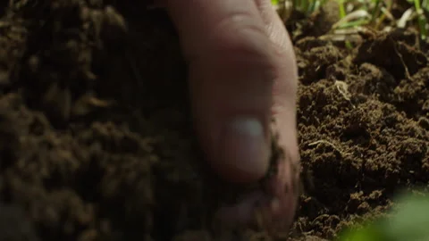 Hands digging into rich organic soil for healthy plant growth Stock Footage 320040717