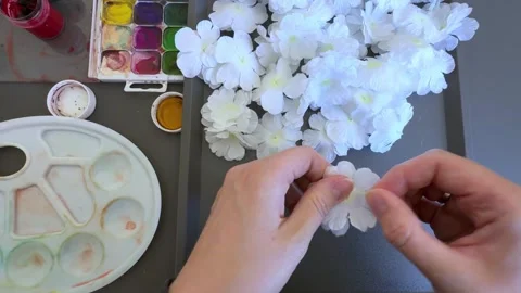 Hands disassembling white artificial flowers into petals before painting Stock Footage 345719378