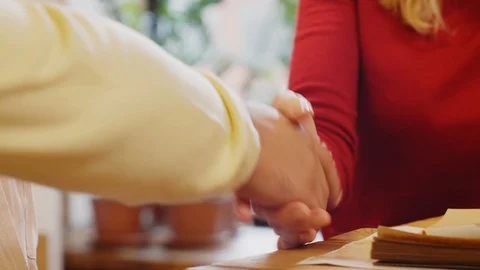 Hands of Diverse Colleagues Shaking Hands Stock Footage 115453335