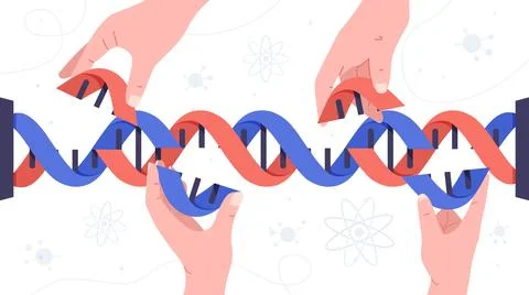 Hands with DNA Stock Illustration