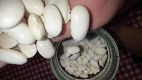 Hands drop beans into glass container Stock Footage 221785808
