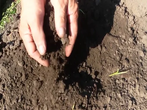 Hands earth Stock Footage 79104927