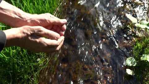 Hands of an elderly man scooping clean water from a forest stream.  Stock Footage 130502924