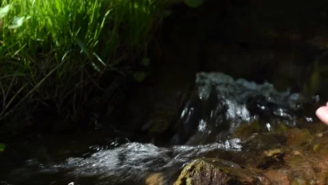 Hands of an elderly man scooping clean water from a forest stream. Stock Footage 130504534