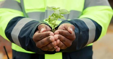 Hands, engineer and plant growth for construction, sustainability and earth.. Foto stock