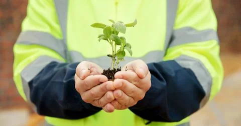Hands, engineer and plants at site for growth, construction and sustainabil.. Foto stock