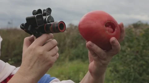 Hands of an engineer hold a smartphone, a detector of genetically modified Stock Footage 140342699
