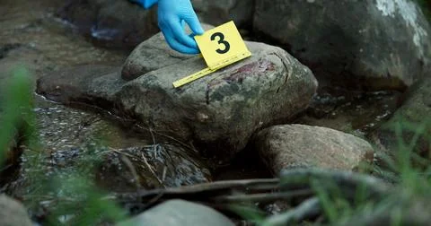 Hands, evidence marker and forensic for investigation at crime scene with blood Stock Photos