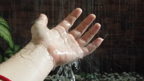 Hands falling jet of water in the rainforest shower. slow motion. Vidéo 107859988
