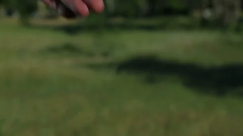 Hands Of Family Stock-Footage 26181392