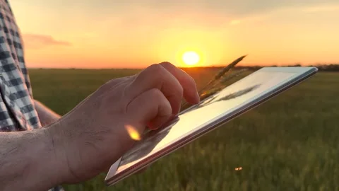 Hands of farmer man hold tablet, fingers tap on screen, typing texting messaging Stock Footage 282068179