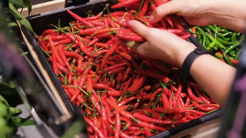 Hands of female choosing chilli pepper at grocery Stock Footage 261593439