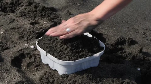 Hands fill a plastic shape mold with the sand at the beach during summer fun Stock-Footage 301918513