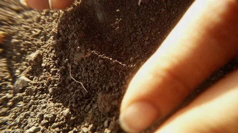 Hands Find Treasure Old Russian Czarist Silver Coins in Ground and Examine it Stock Footage 67094189