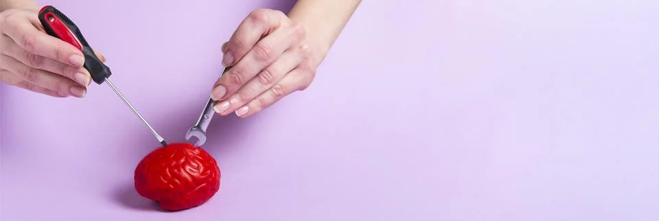 Hands fixing a model of a red brain with a screwdriver and a wrench on a pink Stock Photos