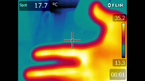 Hands - Flir Thermal Video Stock Footage 61375531