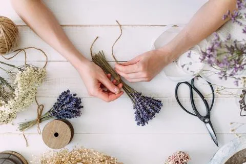 Hands of a florist at work. Dry compositions of flowers plants for the interi Fotos Stock