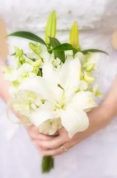 Hands with flowers 스톡 사진