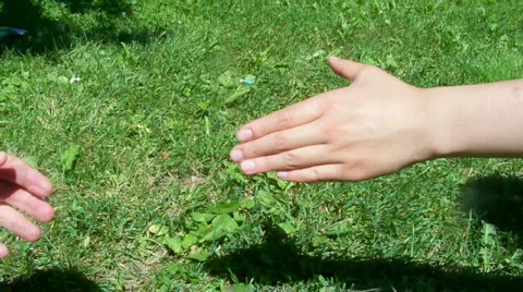 Hands Stock Footage