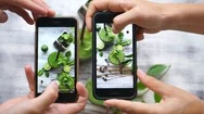 Hands Of Friends Taking Food Photo Of Green Smoothie With Smart Phone In Cafe Stock Footage