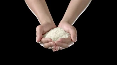 Hands full of rice, Slow Motion Stock Footage 9305558