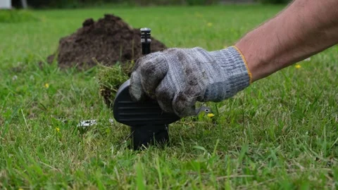 Hands of gardener setting a mole trap Stock Footage 252123521