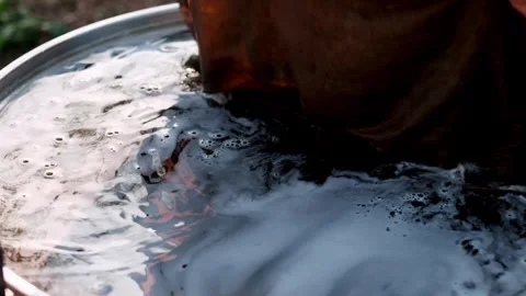 Hands Gathering Fresh Indigo Leaves for Natural Dyeing Process Stock Footage 336823286