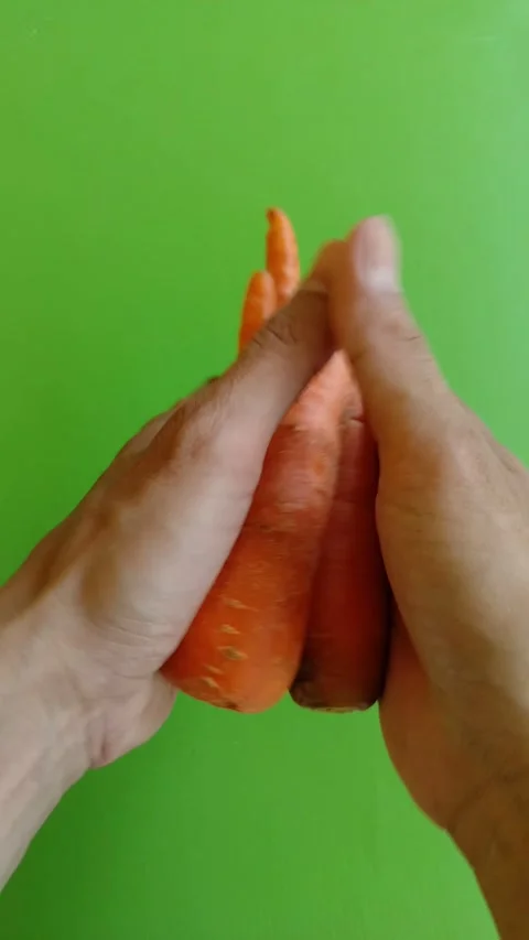 Hands gently hold fresh carrots against vibrant green background Stock Footage 331905372