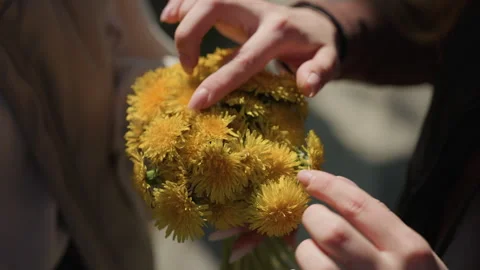 Hands gently intertwining stems to craft dandelion crown, nostalgic family Stock Footage 326214924