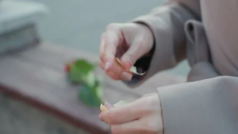Hands gently rip paper beside flower. Closeup of fingers tearing note near rose Stock Footage 332618177