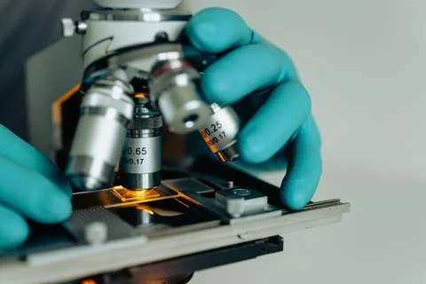 Hands with gloves adjusting microscope lens Stock Photos