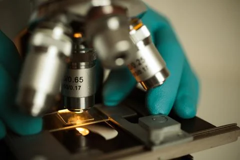 Hands with gloves adjusting microscope lens Stock Photos
