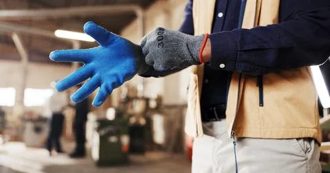 Hands, gloves and worker in workshop for carpentry, labor and PPE with prep.. Stock Photos
