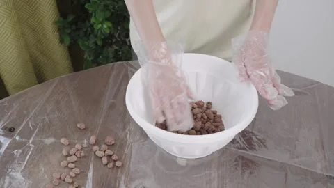 Hands in gloves arranging expanded clay drainage inside white flowerpot Stock-Footage 340607015