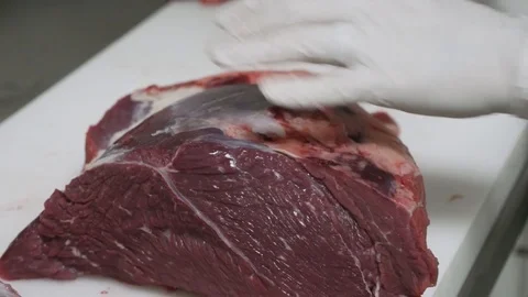 Hands with gloves cutting raw meat with a sharp knife close up Stock Footage 103597528