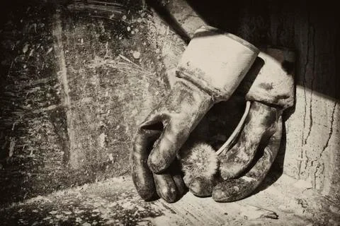 Hands in gloves with a dandelion Stock Photos