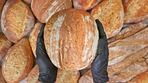 Hands in the gloves is holding bread Stock Footage 155521725
