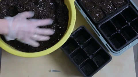 Hands in gloves mix the soil and prepare for planting Stock Footage 266898754