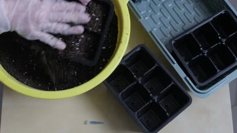Hands in gloves mix the soil with useful additives and prepare for planting. Stock-Footage 266899063