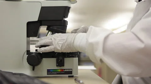 Hands with gloves using microscope in medical laboratory Vídeo Stock 55531560