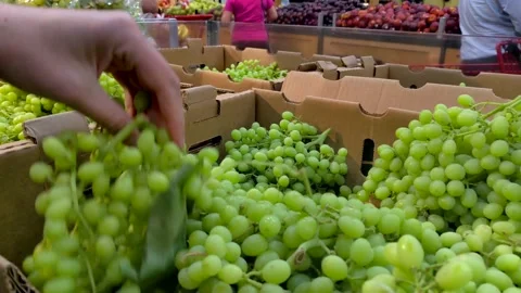 Hands grabbing grapes Stock Footage 134432624