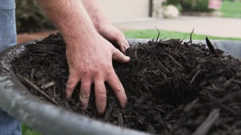 Hands grabbing mulch Video stock 255658529