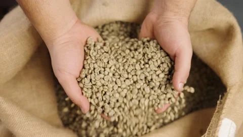 Hands grabbing raw coffee beans from coffee sack Slow Motion 3 Video stock 171421948