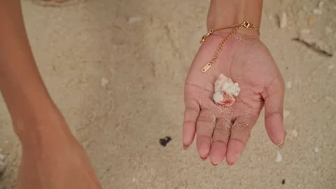 Hands grasp shells. Relaxed hands clutch shells near toes in warm sunlight. Calm Stock Footage 341664693