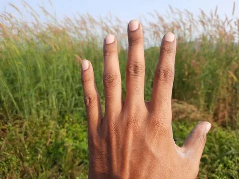 Hands in the grass, a hand holding something like a hello. Stock Photos