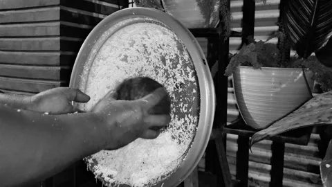 Hands grating coconut Stock Footage 287244498