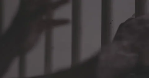 Hands Gripping Prison Bars 4K Stock Footage 145997601
