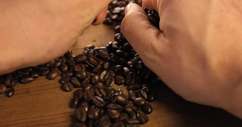 Hands Handling Fallen Delicious Coffee Beans On A Rustic Wooden Table Stock Footage 113379981